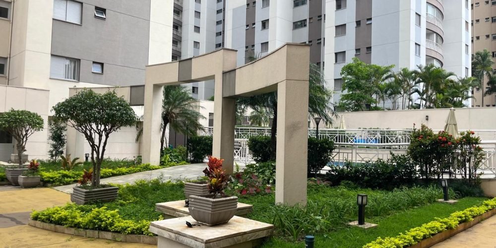 WhatsApp Image 2026-01-21 at 12.08.29 (1)