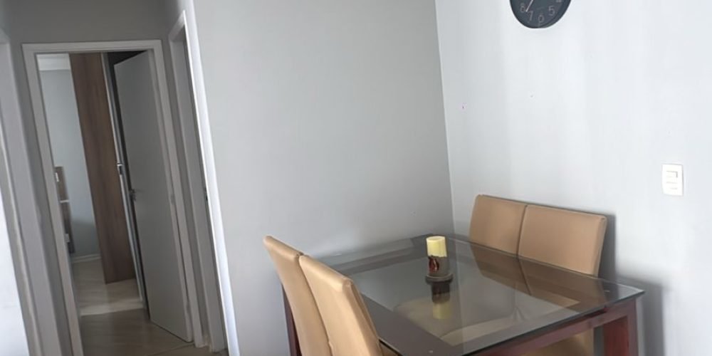 WhatsApp Image 2026-02-11 at 12.54.54 (2)