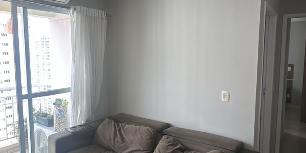 WhatsApp Image 2026-02-11 at 12.54.55