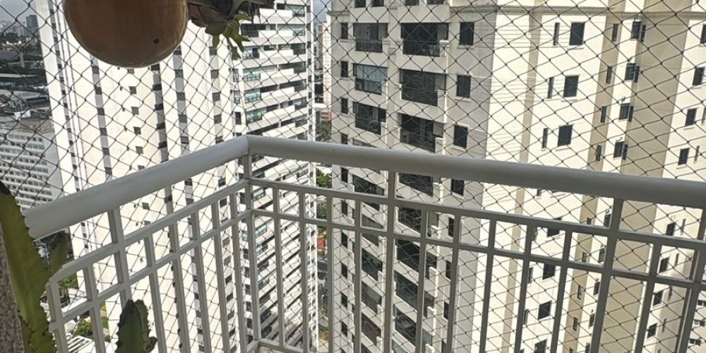 WhatsApp Image 2026-02-11 at 12.54.58