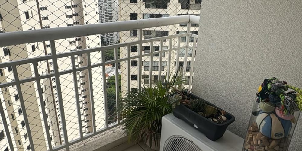 WhatsApp Image 2026-02-11 at 12.54.59