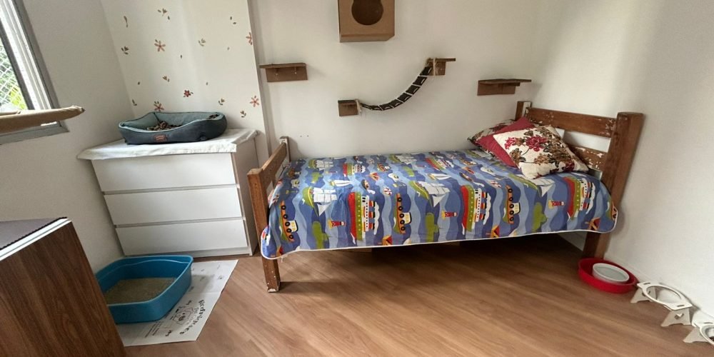 WhatsApp Image 2026-02-19 at 15.16.36