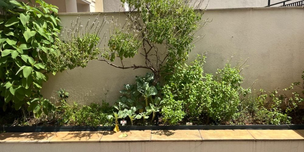 WhatsApp Image 2026-03-18 at 16.19.42 (30)